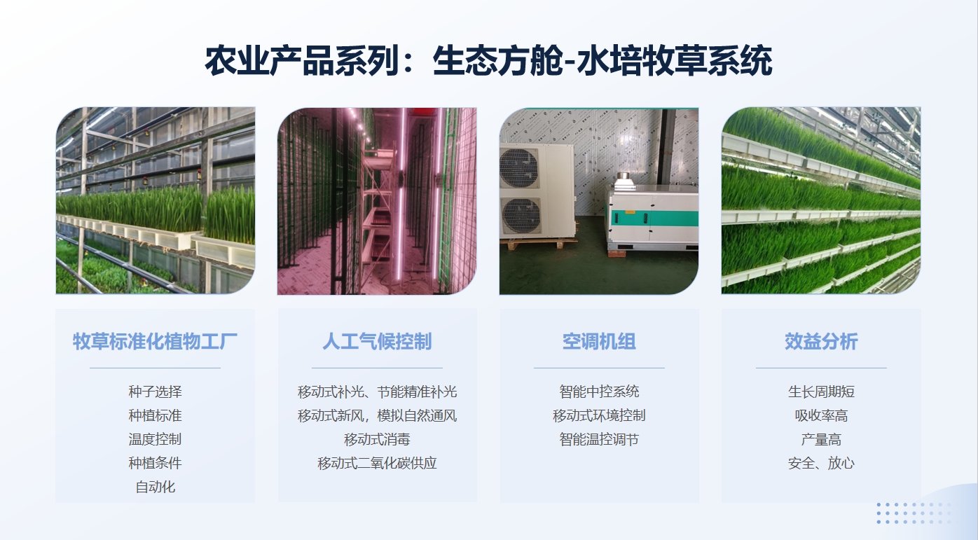 生态方舱水培牧草.png