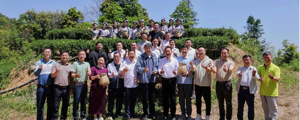 康禾贡茶交流座谈会