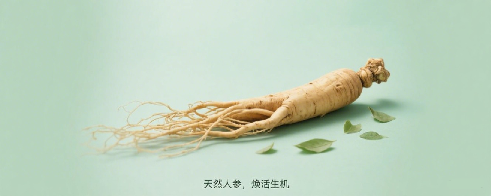 生物（农产品）科技：人参植物干细胞